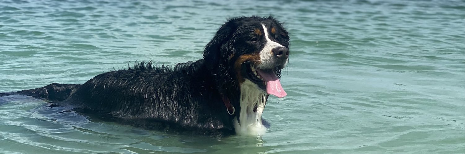 Russel Furman banner