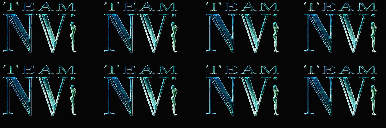 Team NVi banner