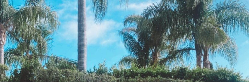 meredith0n0's profile banner image