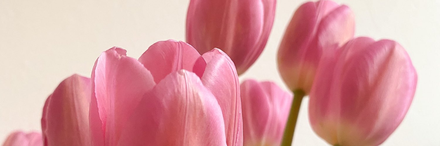 andreacorrea00's profile banner image