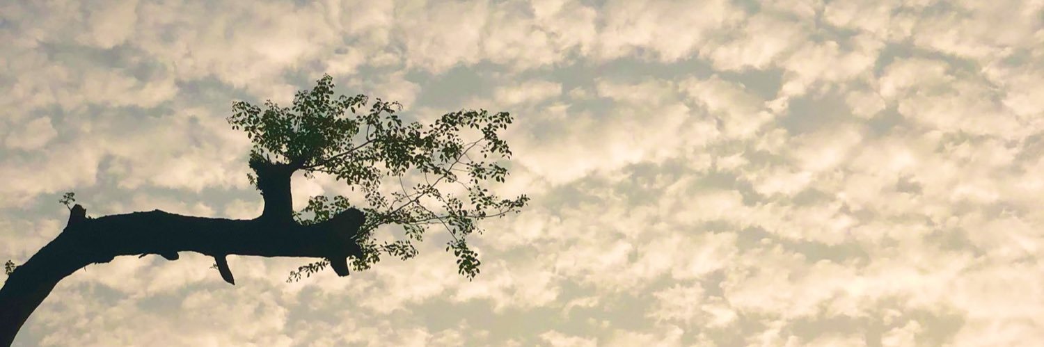 SAINT_avi's profile banner image