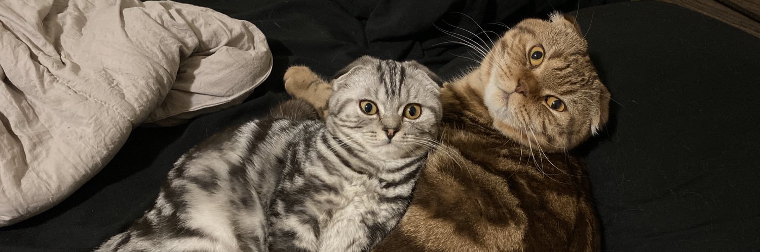 abennybrown's profile banner image