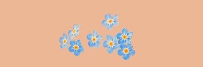 deenevins's profile banner image