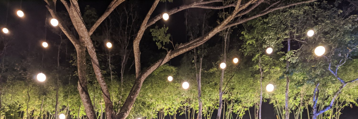 Ray Andallon 安銳光 banner