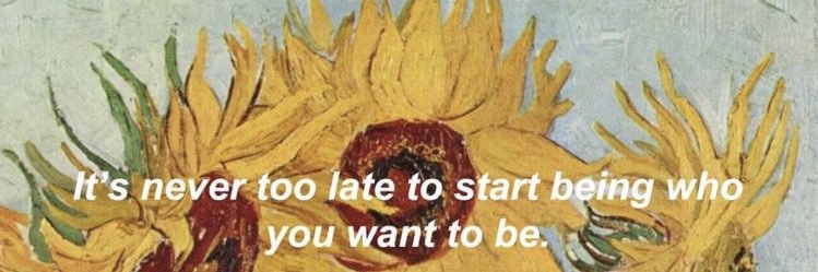 SummerStormML's profile banner image
