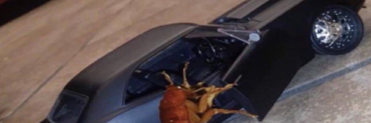 partyatusher's profile banner image