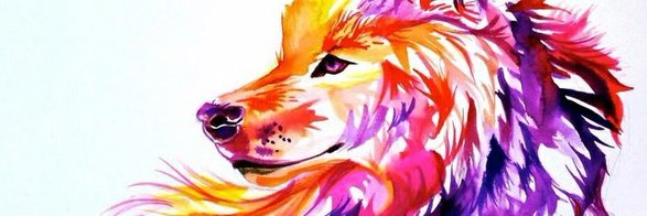 jmaybay's profile banner image