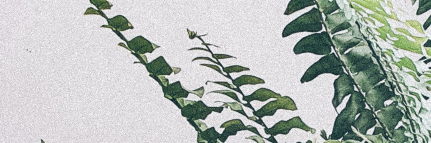Amandaroka's profile banner image