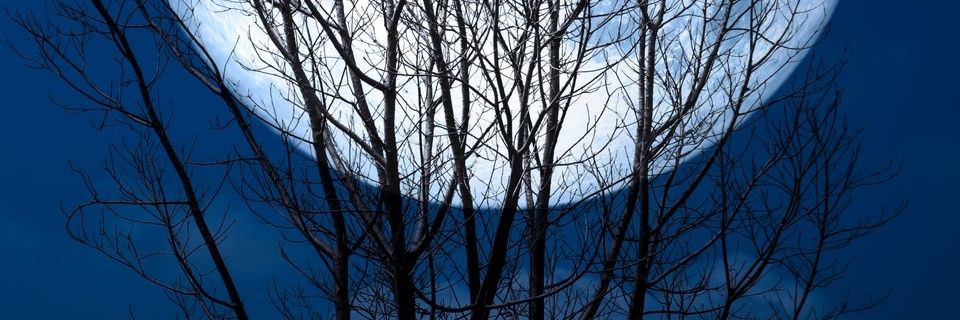 MerciaCorrigan's profile banner image
