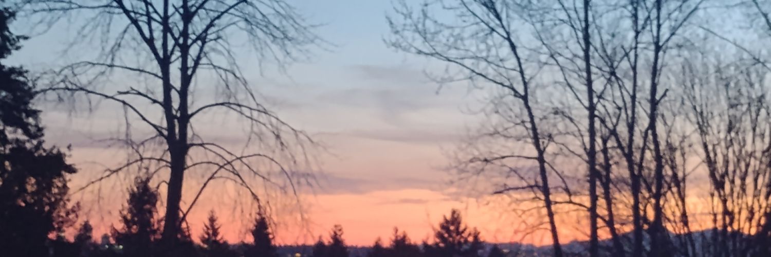 Paul Schlienz banner