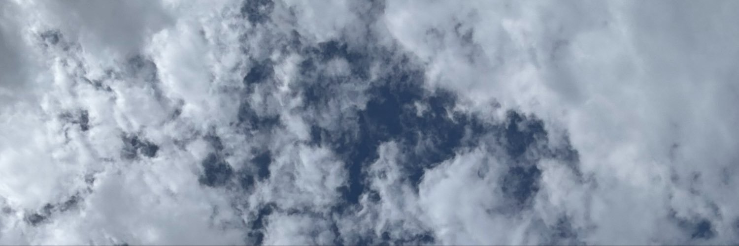 CircusLibby25's profile banner image