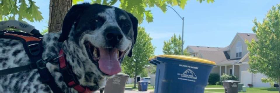 ThatMechlingGuy banner