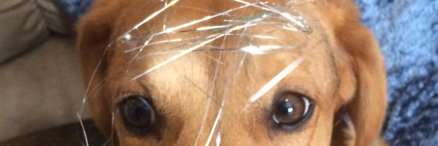 FrantasticFranc's profile banner image