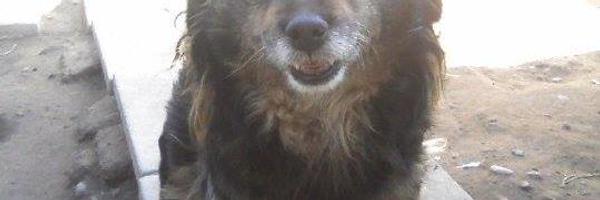 kpam5 Profile Banner