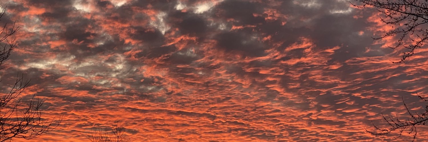 nicksmythpls's profile banner image