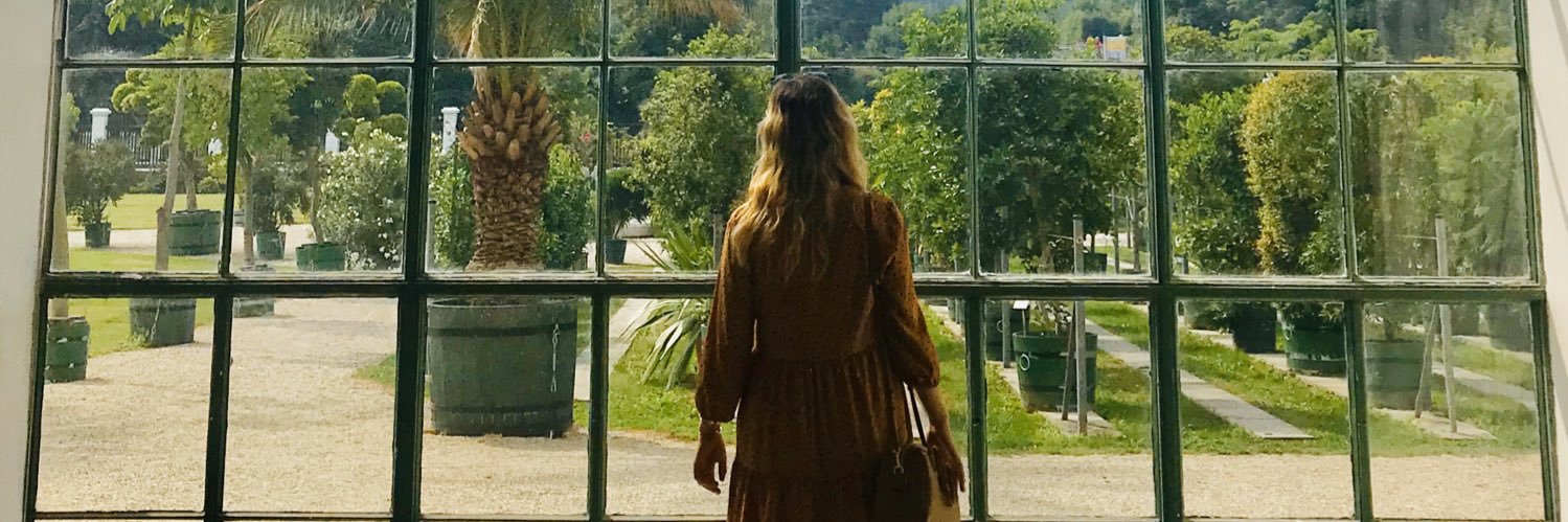 ana daniela banner