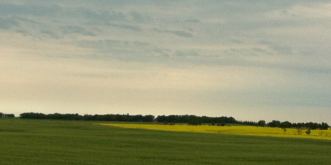 AJSarauer's profile banner image