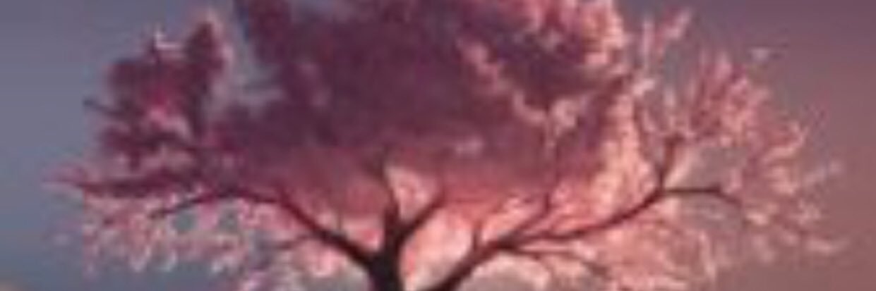 Ommalk11's profile banner image