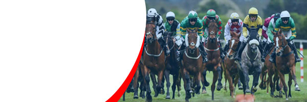 Racing Insider - Free Horse Racing Tips 🏇 banner