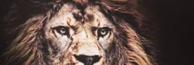 ChanaGF's profile banner image