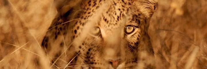 OfeJar's profile banner image