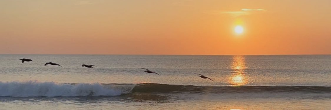 gcampy23's profile banner image