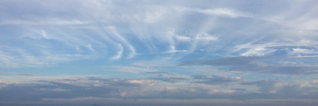 bluesky_olive's profile banner image