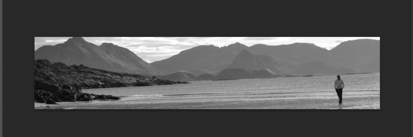 Alfonso L. Viñegla banner