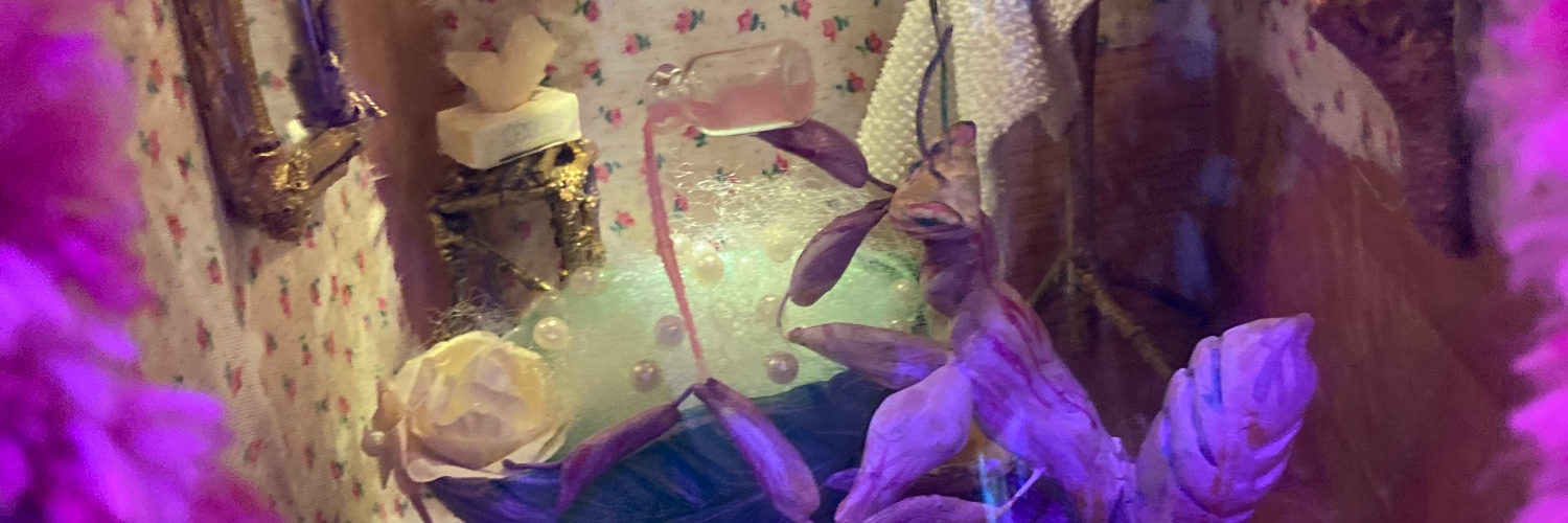 Devin Sandbothe banner