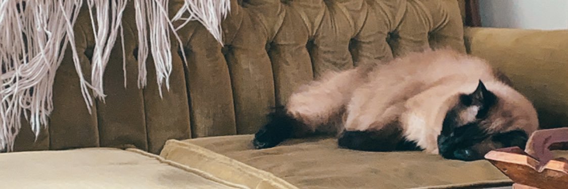AaronMHaydon's profile banner image