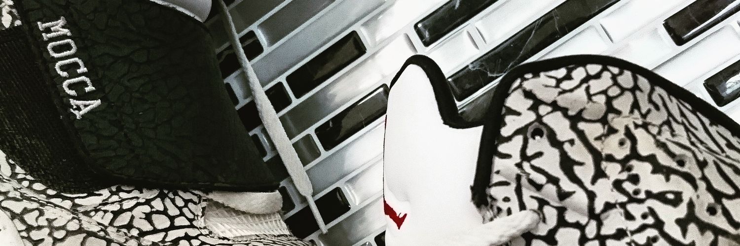 MoccaDylan's profile banner image