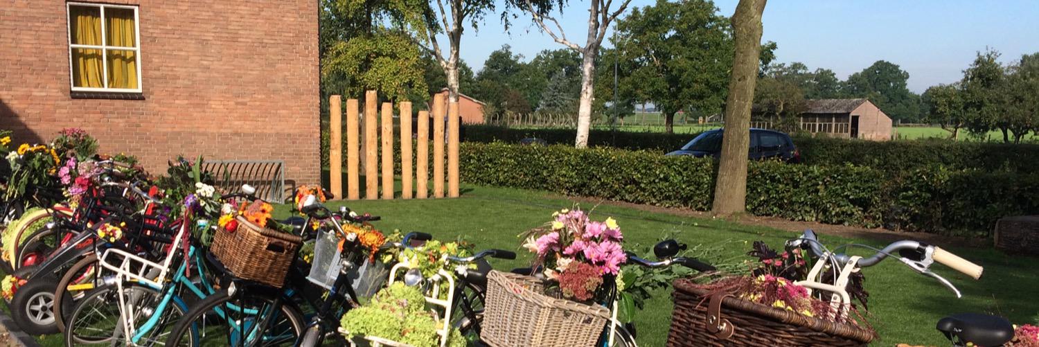 OBS Hagewinde (@obshagewinde) / Posts / X
