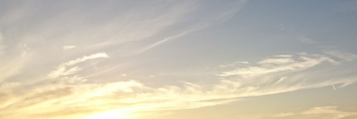 narrow banner