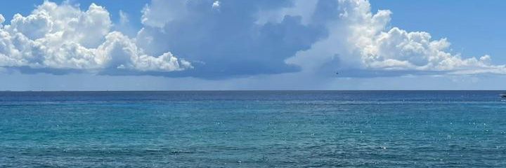 _selysm's profile banner image