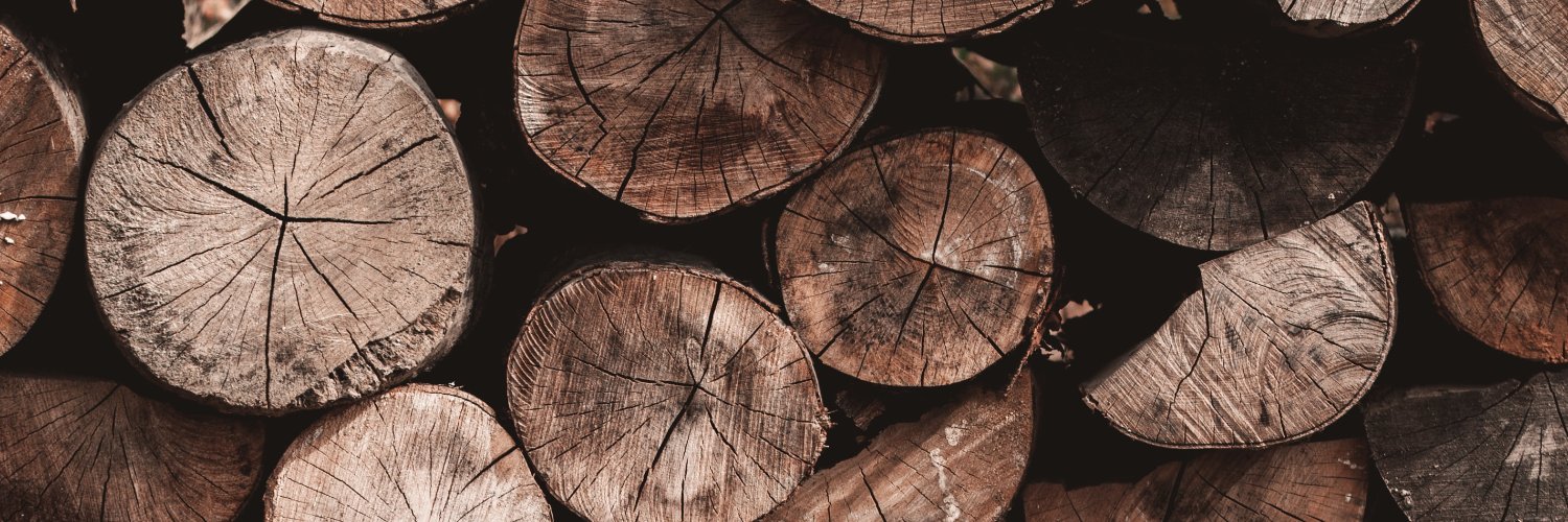 Crypto7Squirrel's profile banner image