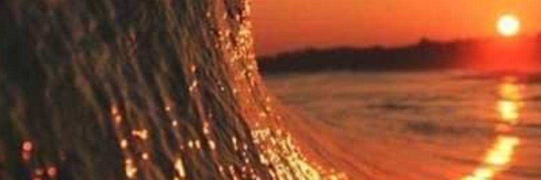 javicorso's profile banner image