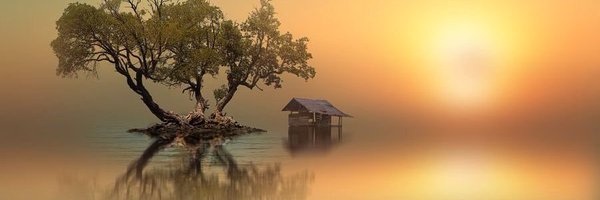 Justice_Seeker5 Profile Banner