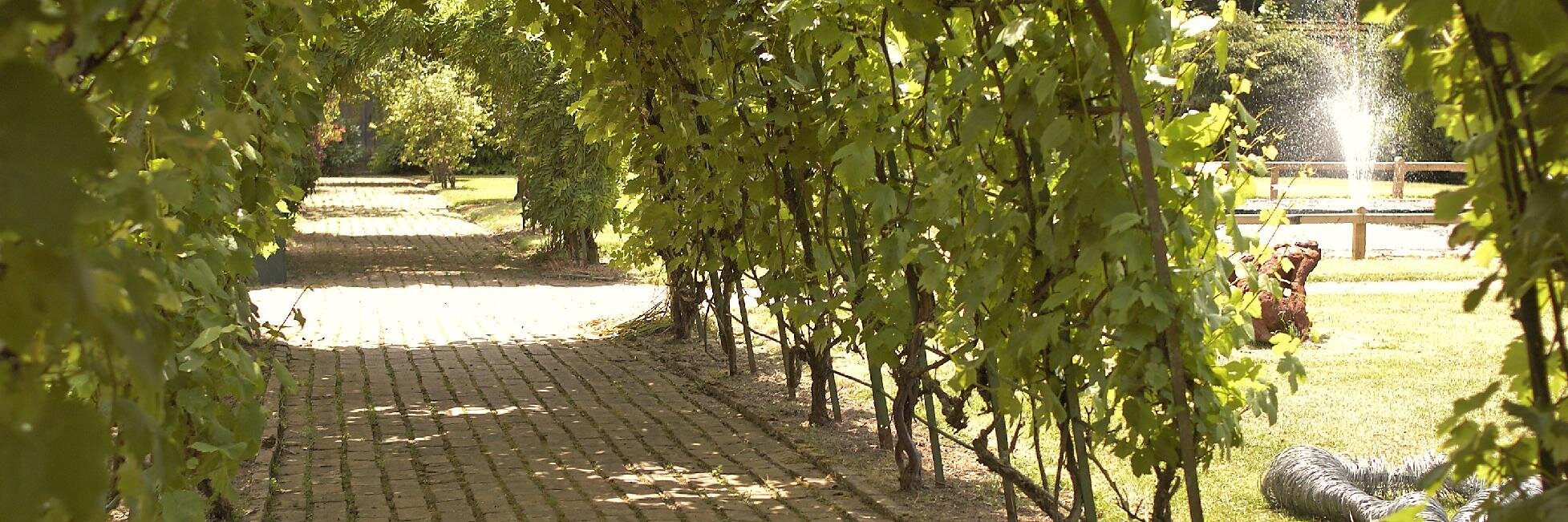 Jeremy's Retirement tweets banner