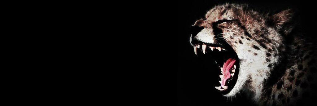 pato9303's profile banner image