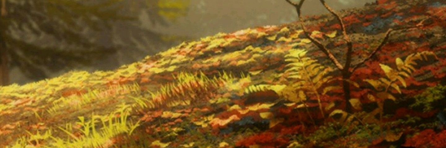 davidg093's profile banner image