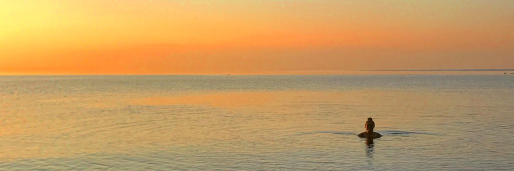 suzyb06's profile banner image