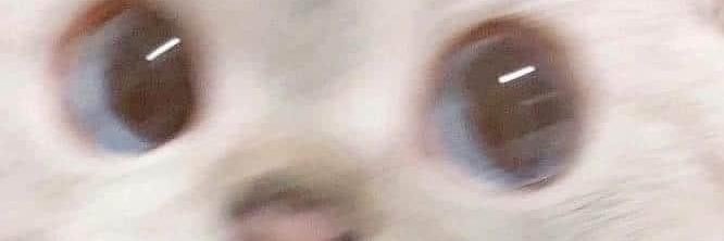 _debanyalfaro's profile banner image