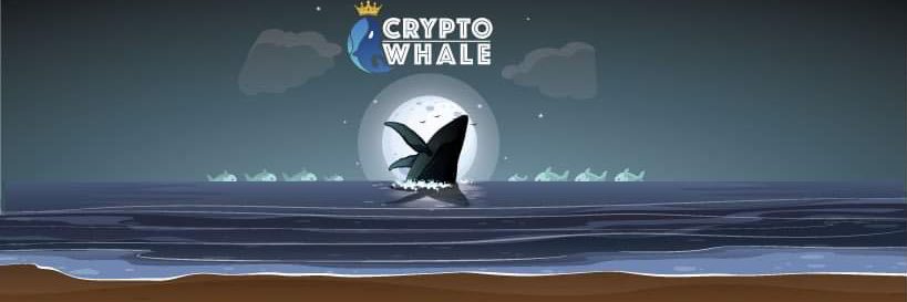 Cryptowhale99x's profile banner image