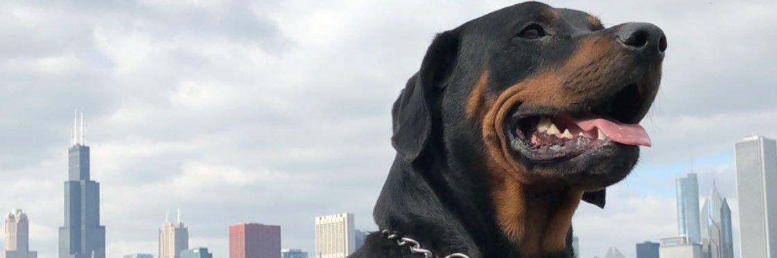 RickVerdico's profile banner image