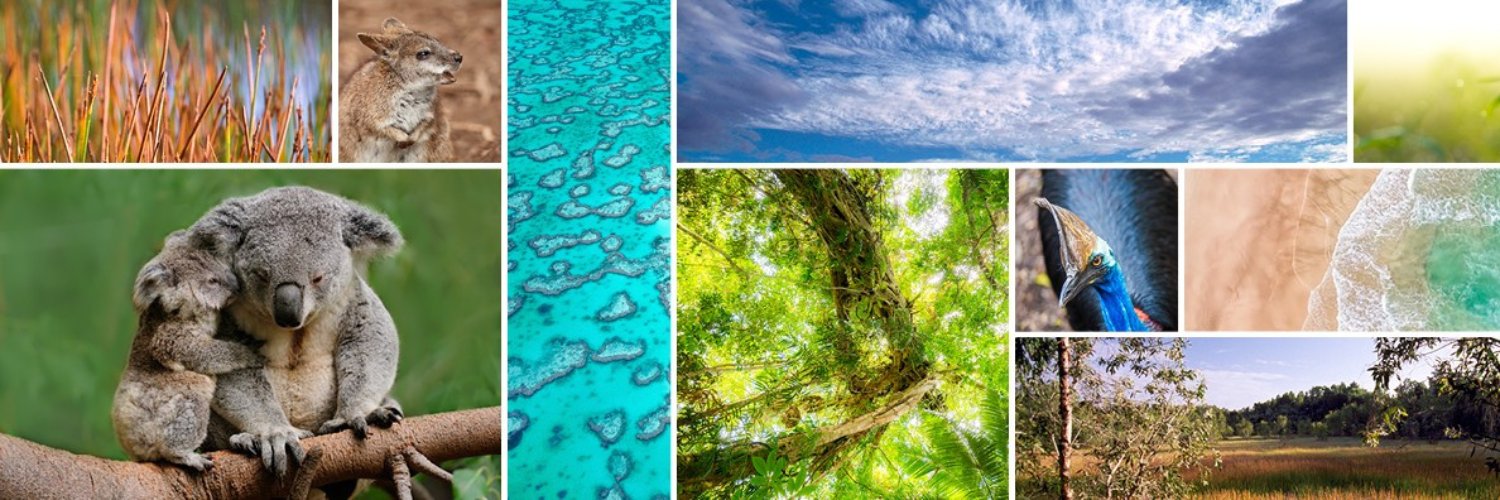 Queensland Environment banner