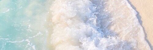 Veronica_Bug09's profile banner image