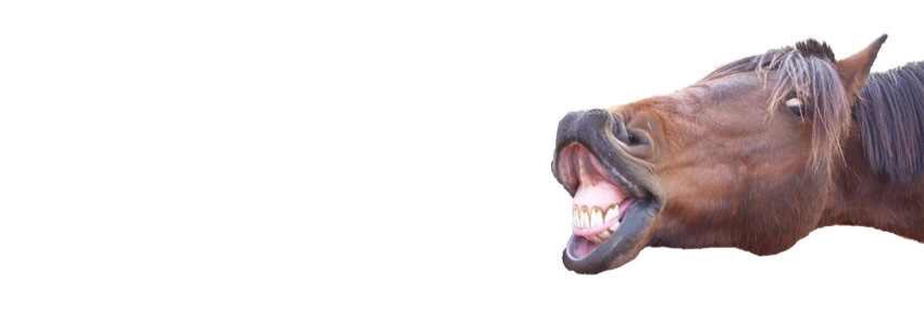 RickyTucker_'s profile banner image