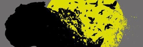 Farid2249's profile banner image