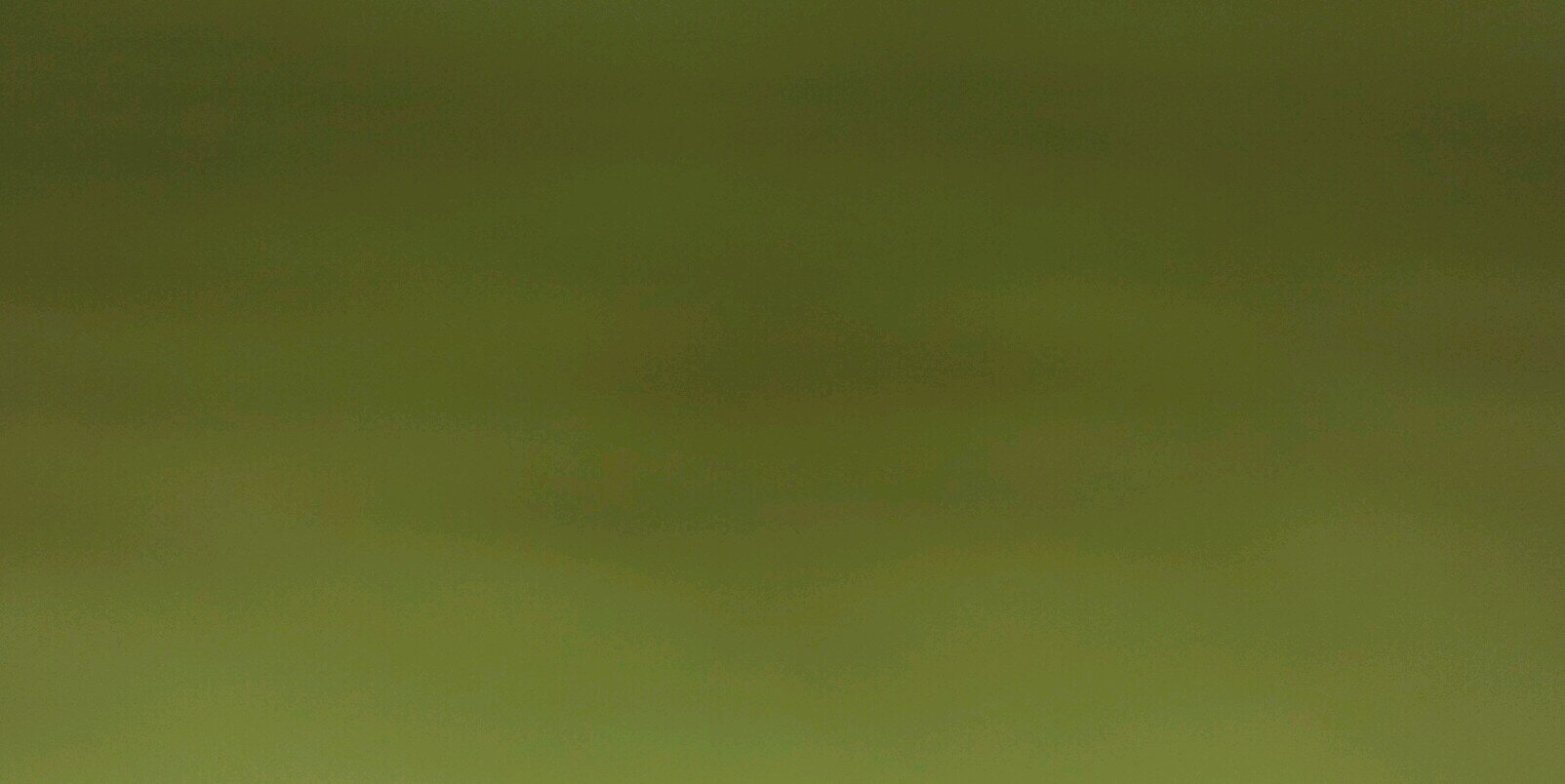 trinitimar's profile banner image