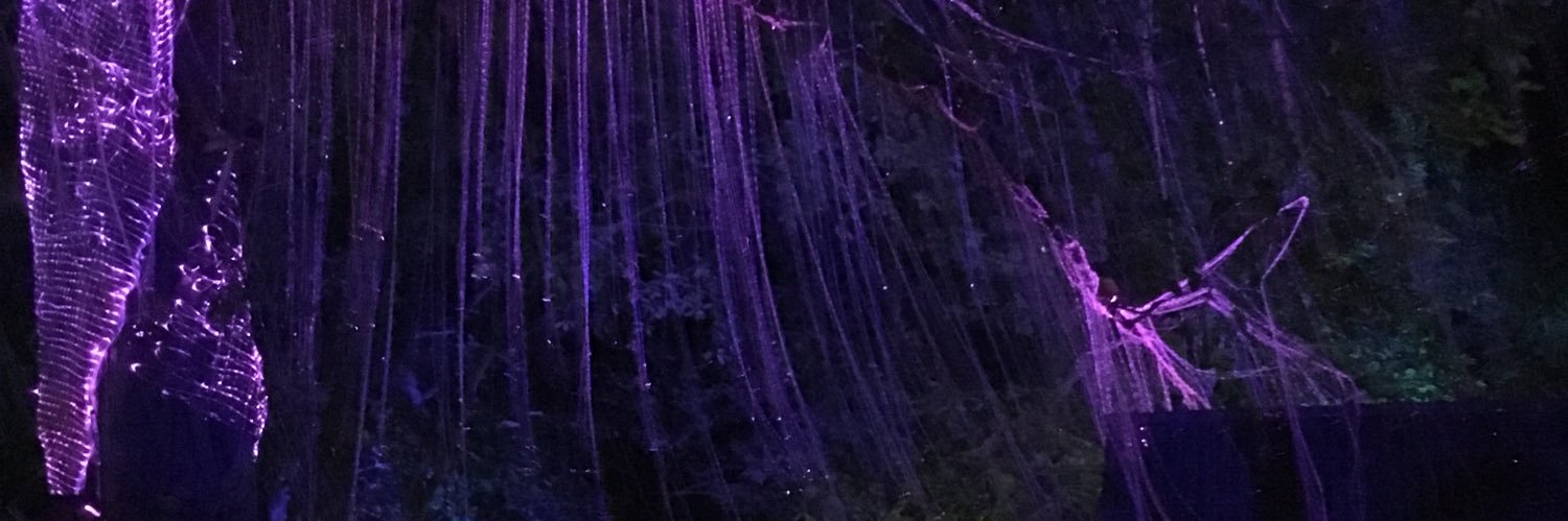 nursyahimah's profile banner image